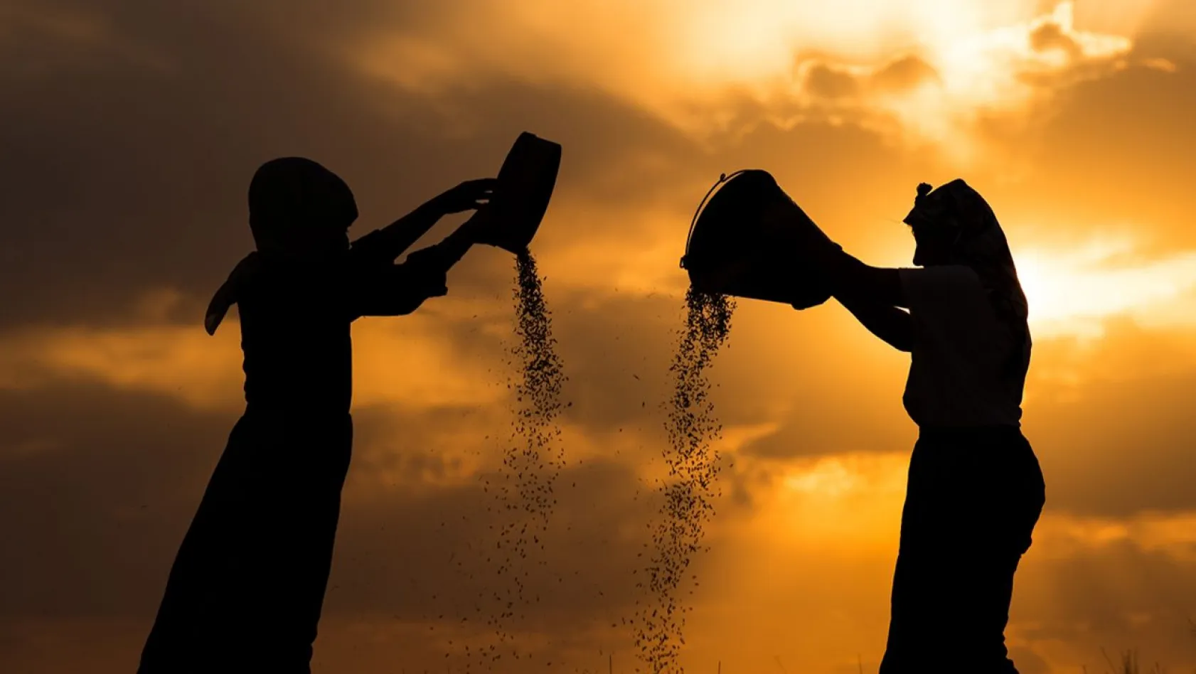 Karslı kadınlar rüzgara karşı 'tahıl savurma' mesaisinde
