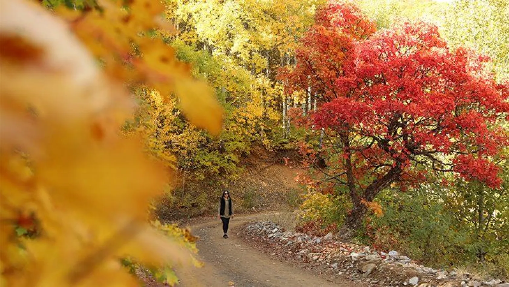 Tunceli'de sonbaharla gelen 'Renk Cümbüşü'