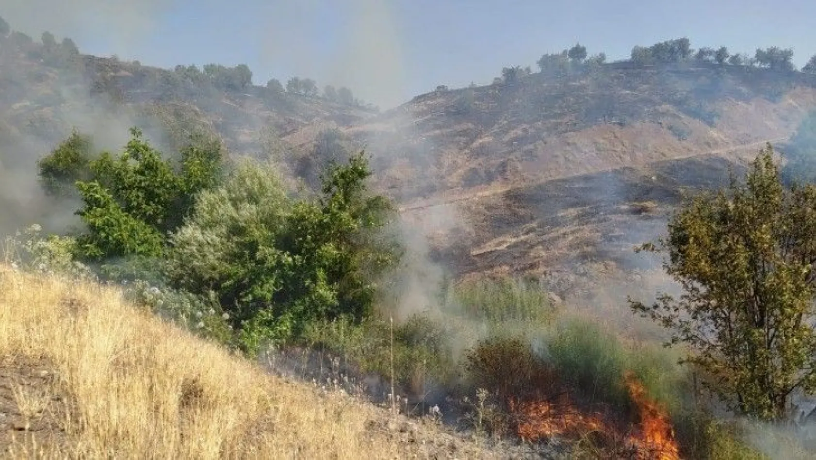 2 gün süren orman yangını söndürüldü