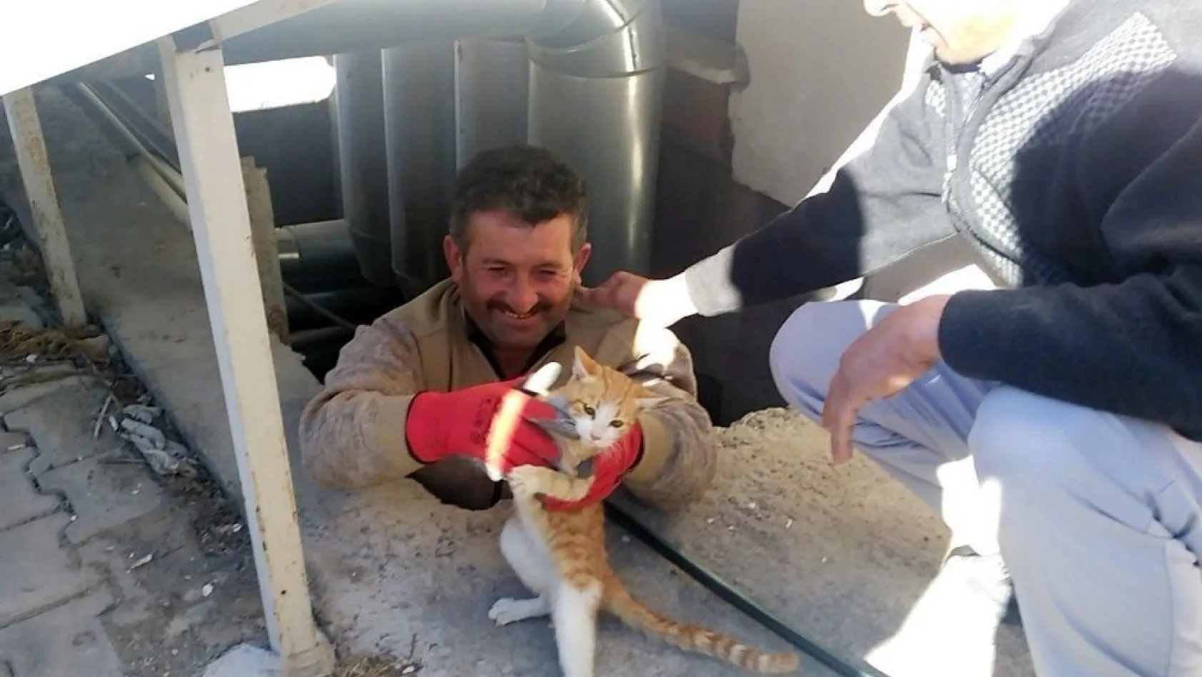 Havalandırma boşluğuna düşen kediyi hastanenin sivil savunma ekipleri kurtardı
