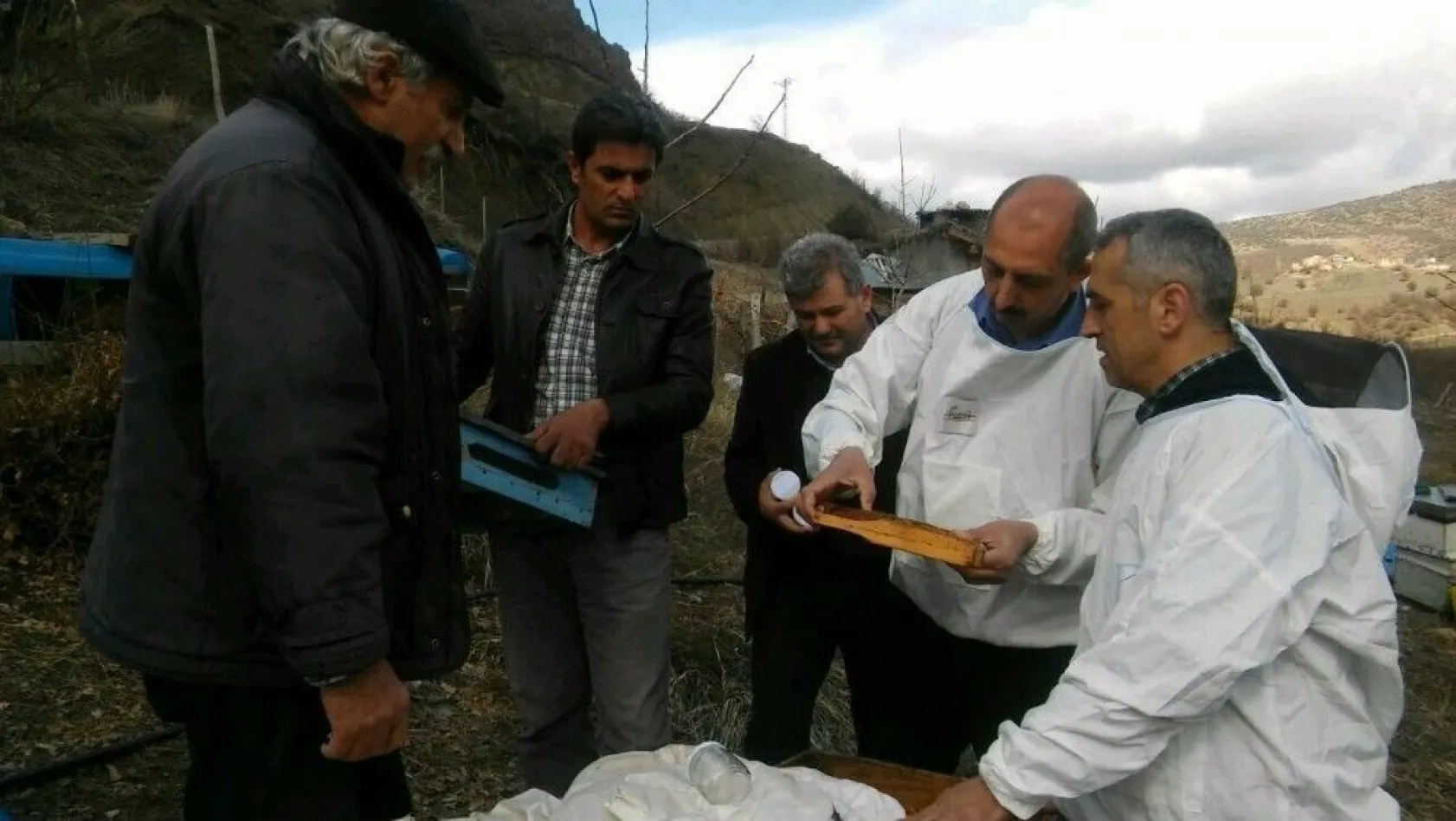 Tunceli'deki arı ölümleri inceleniyor
