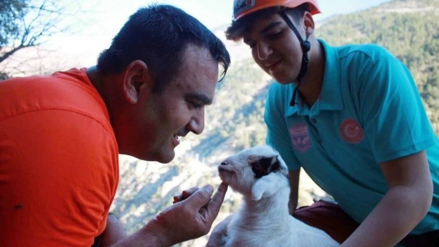 (Özel Haber) Yavru keçi için kurtarma ekipleri seferber oldu
