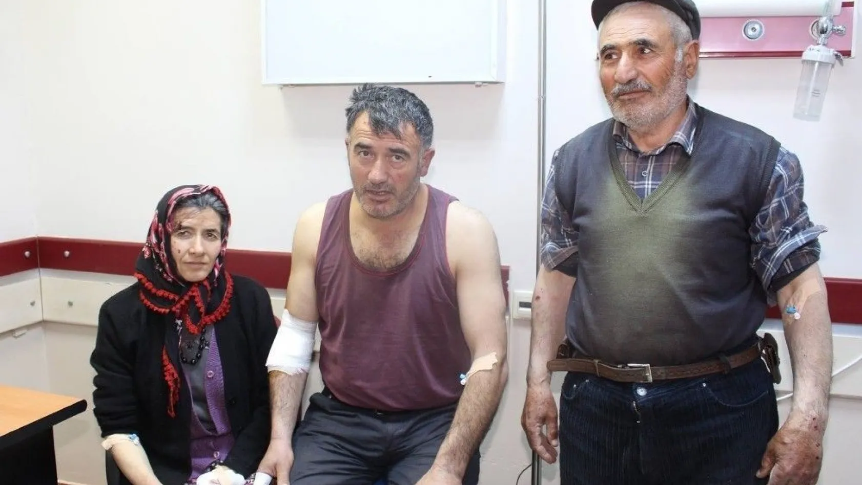 Erzurum'da kurt köylülere saldırdı: 4 yaralı
