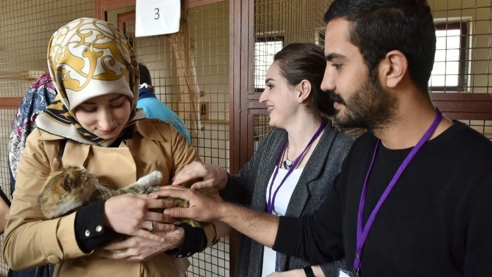 Genç iletişimcilerden Hayvan Barınağı'na ziyaret
