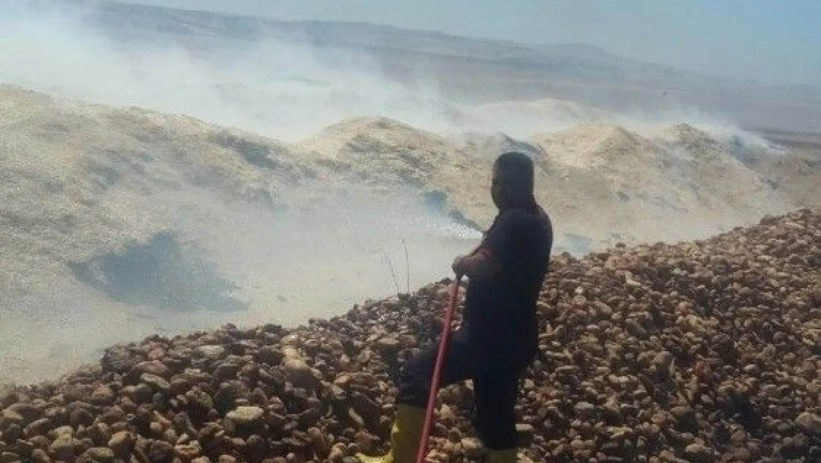 Şambayat'ta  bin 200 dönümlük arazide anız yandı
