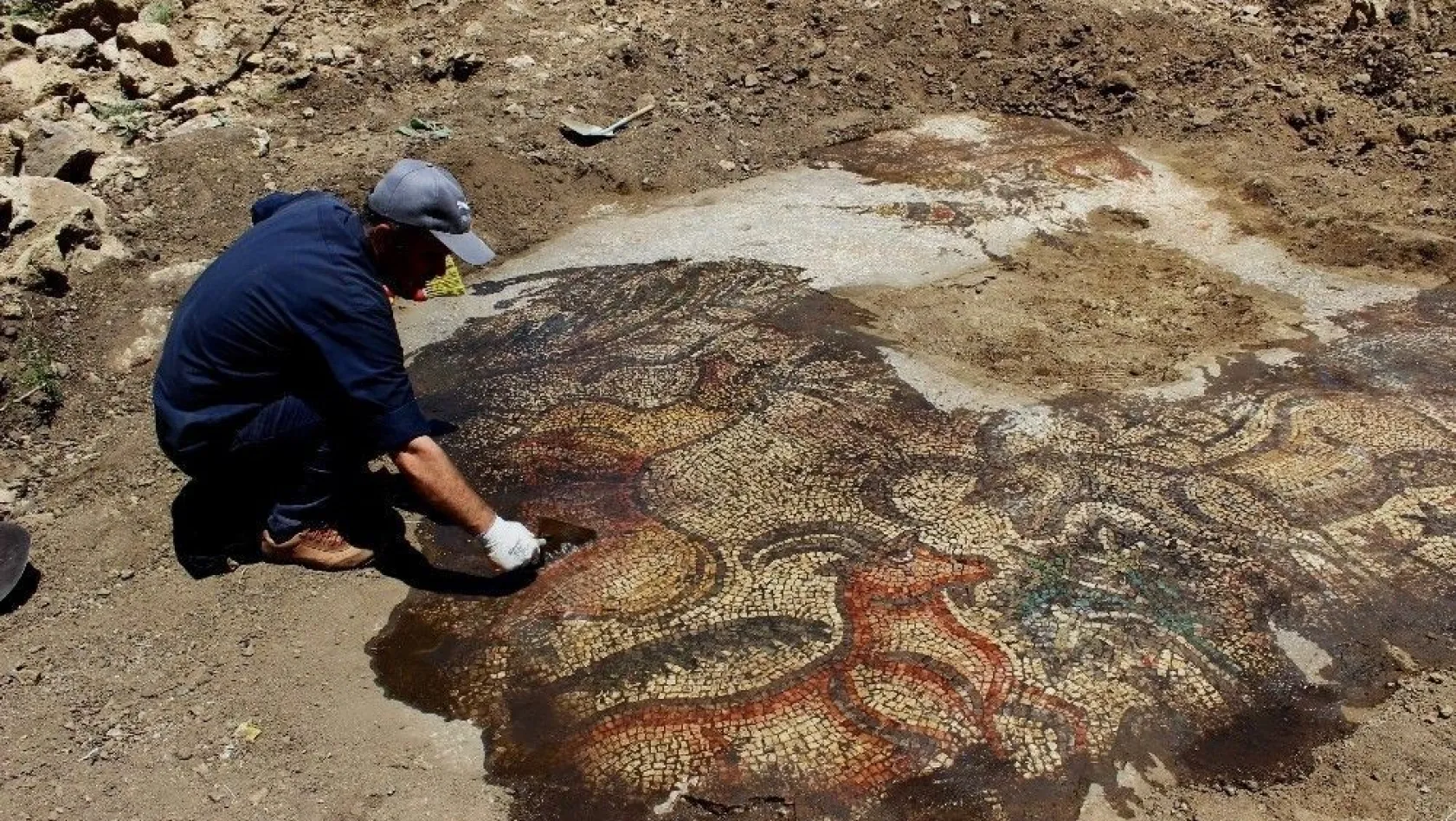 Çiftçinin bulduğu 1600 yıllık mozaik gün yüzüne çıkıyor
