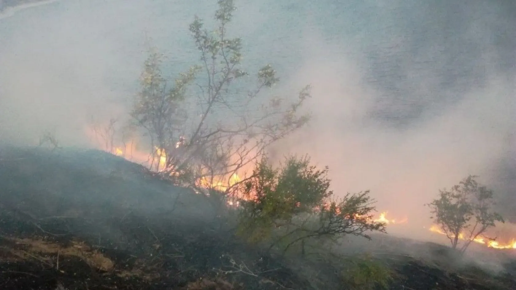 Doğanyol'daki arazi yangını güçlükle kontrol altına alındı
