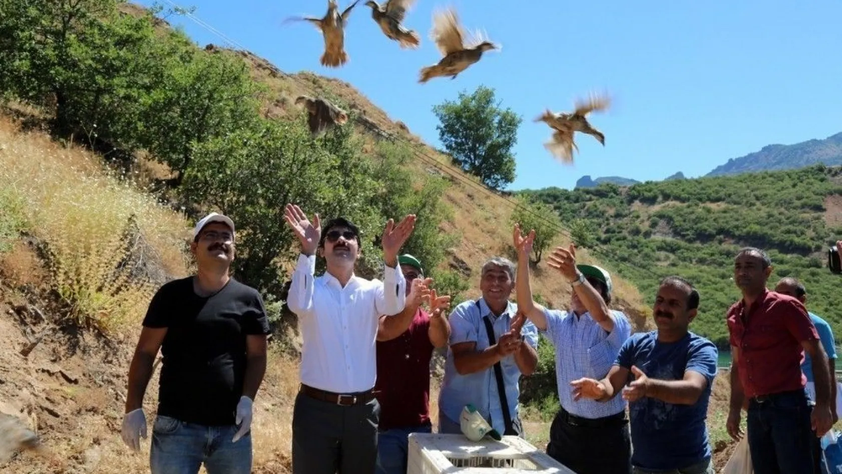 Tunceli'de doğaya bin keklik bırakıldı
