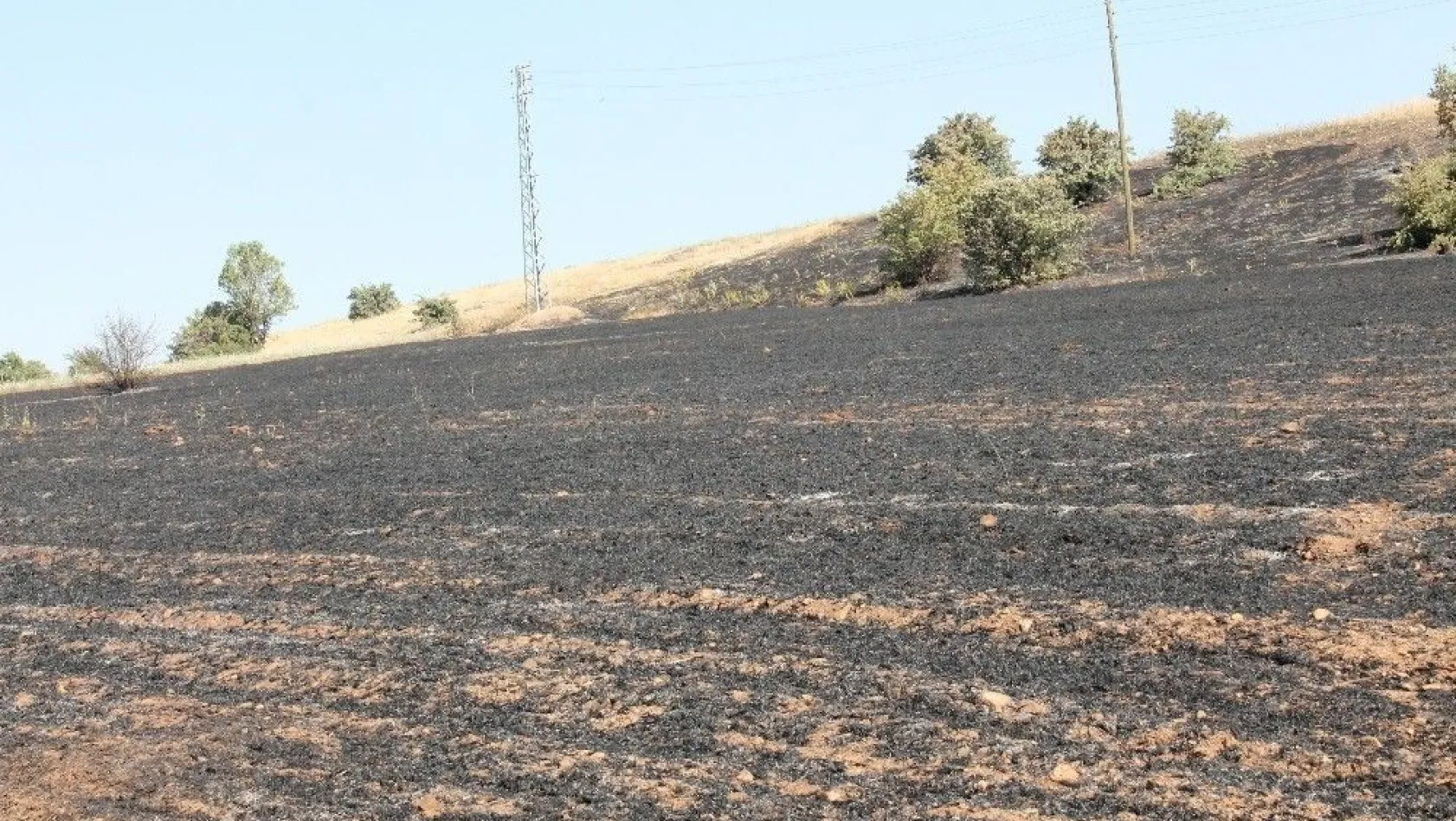 Elazığ'da ot yangını, ağaçlara zarar verdi