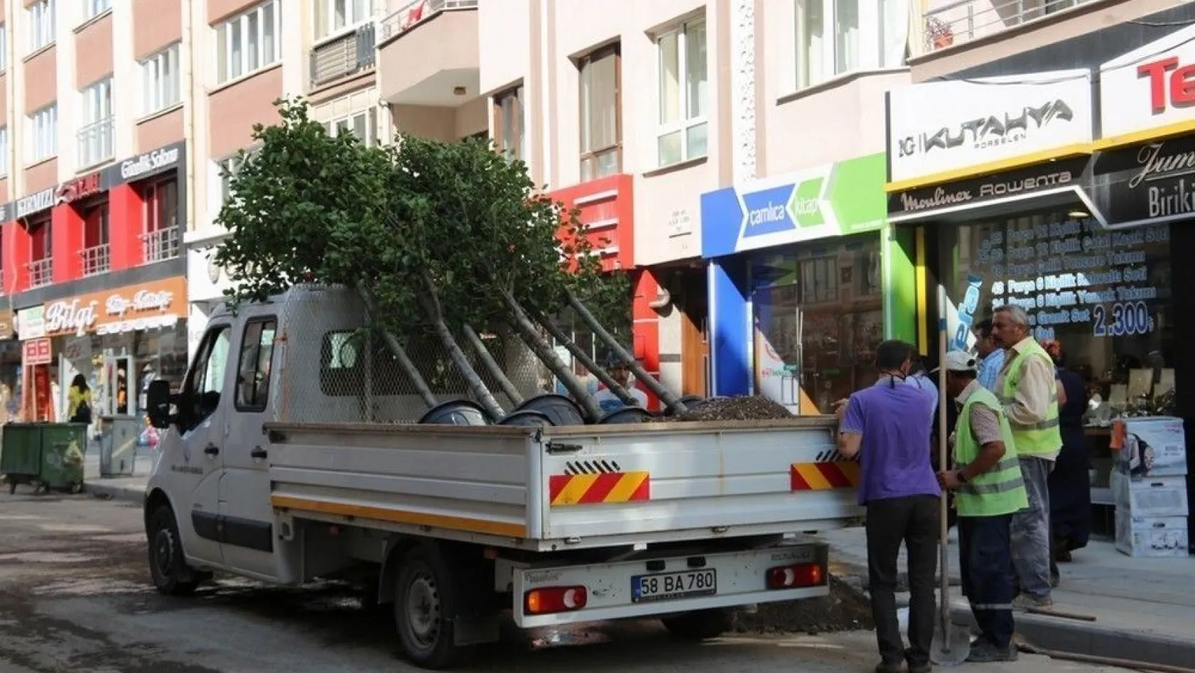 Sivas Belediyesi çürümüş ağaçların yerine yenisini dikti
