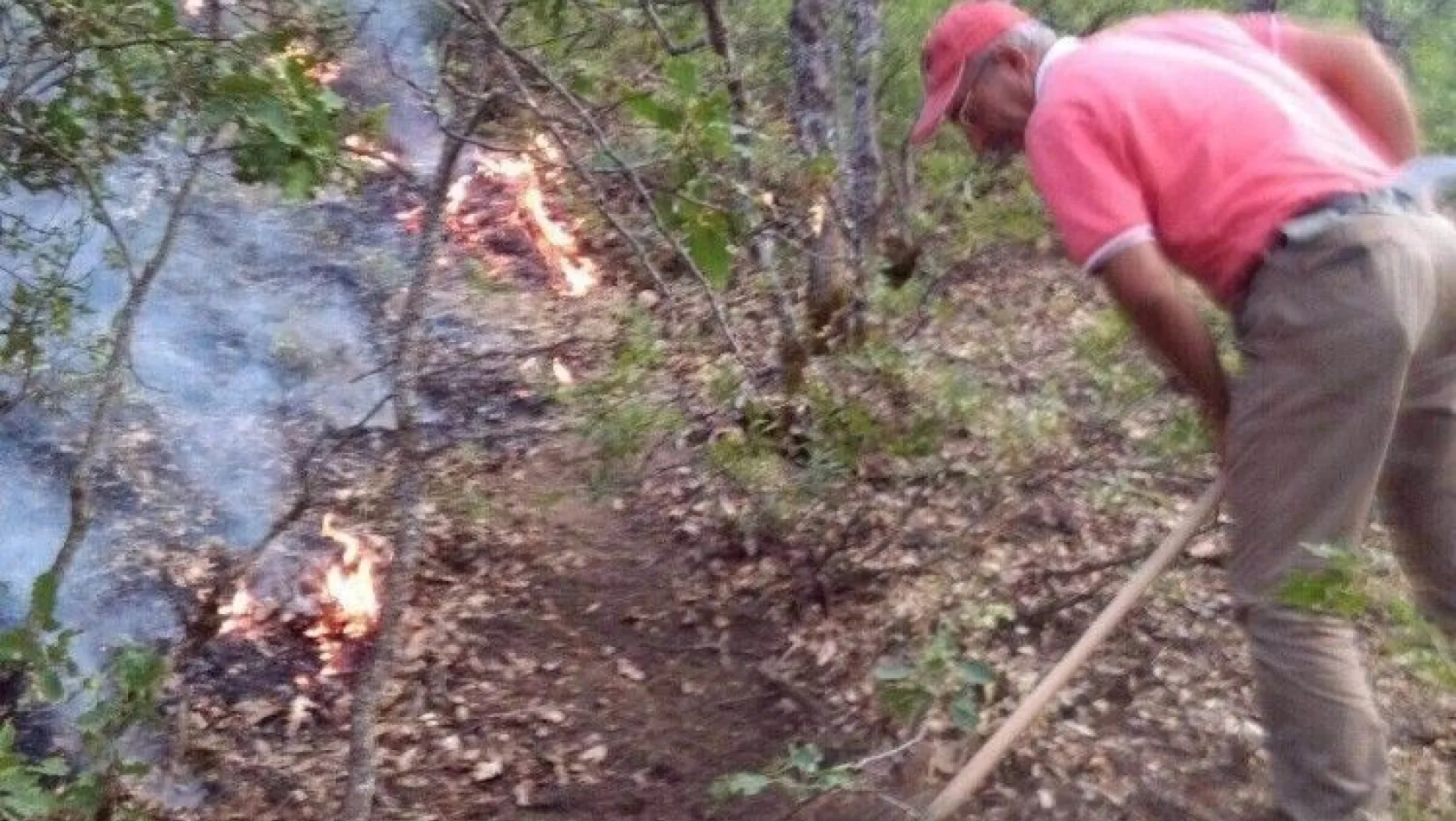 Tunceli'deki orman yangınları kontrol altına alındı
