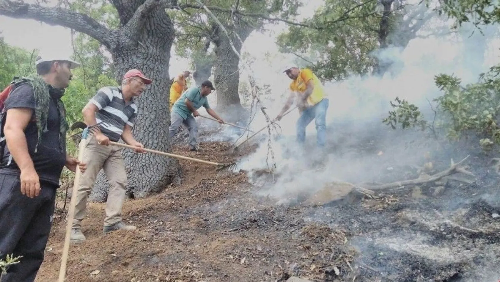Tunceli'deki orman yangınları tamamen kontrol altına alındı
