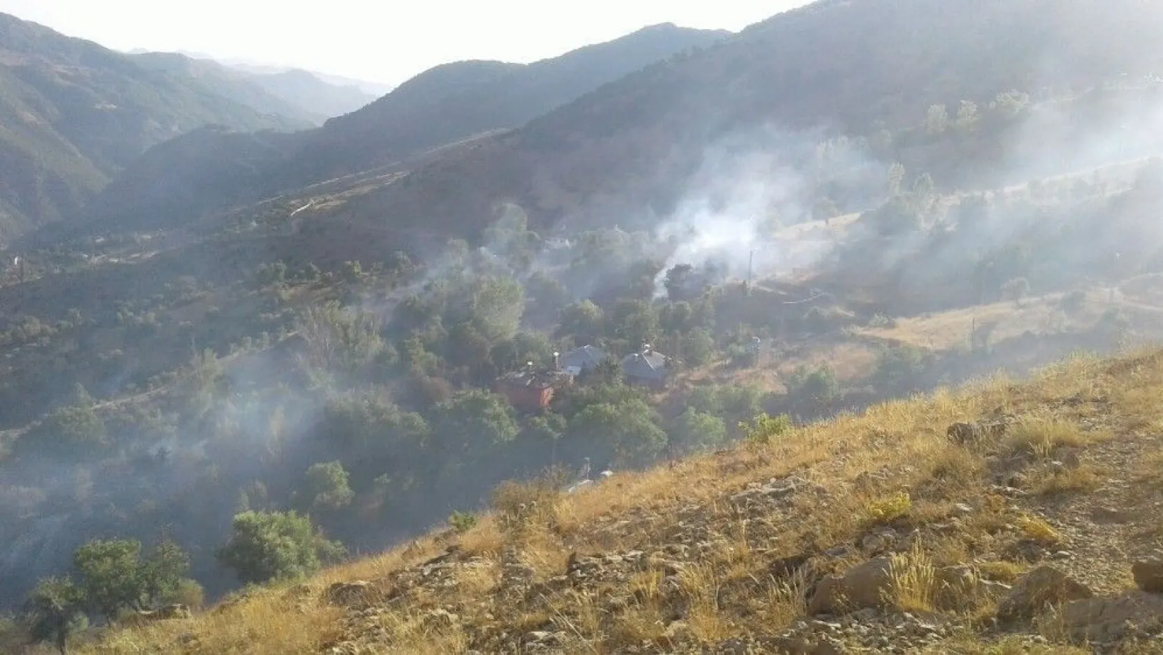 Tunceli'de bir ev ve meyve ağaçları yandı
