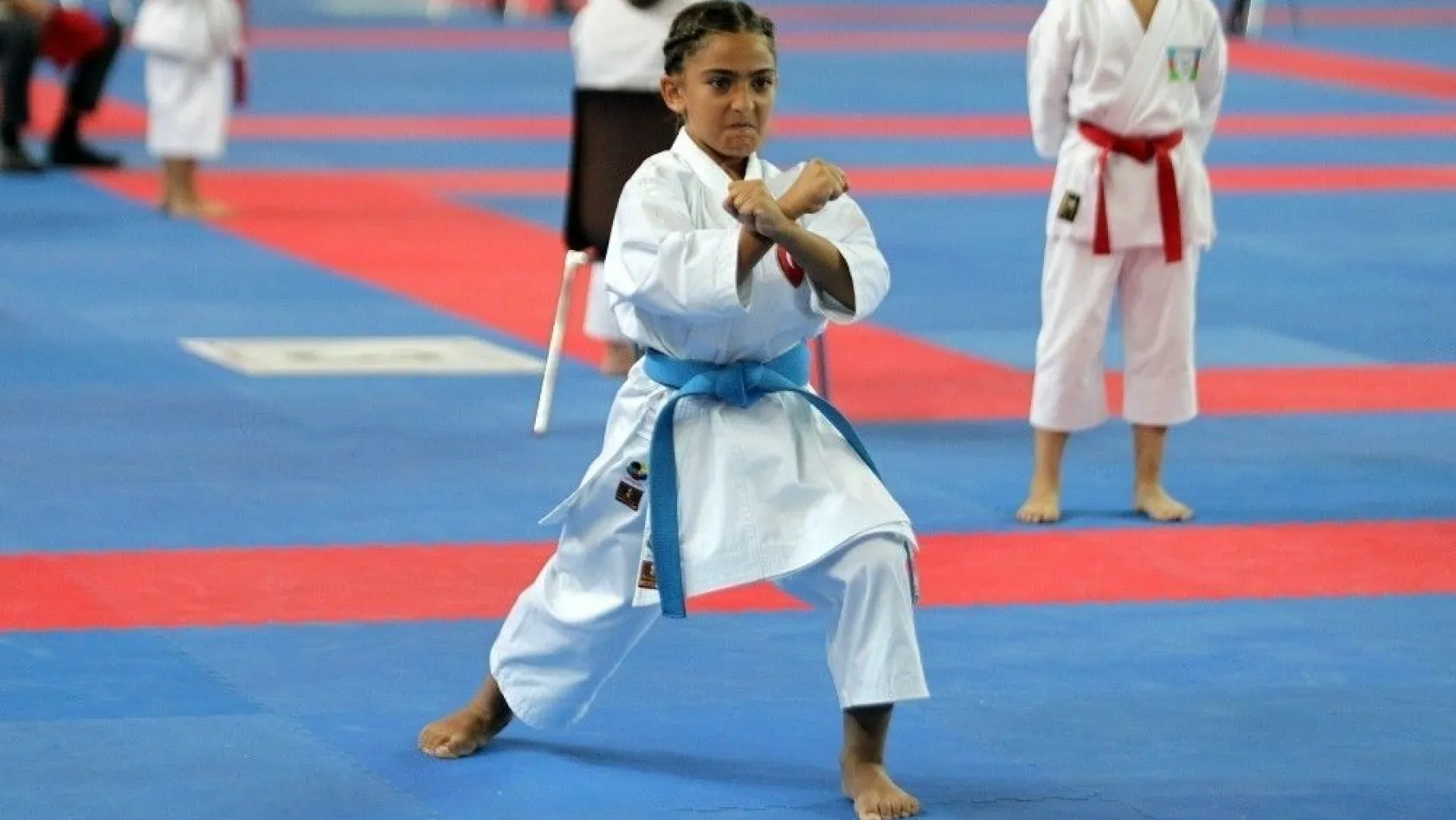Erzurum'da karate şöleni başladı

