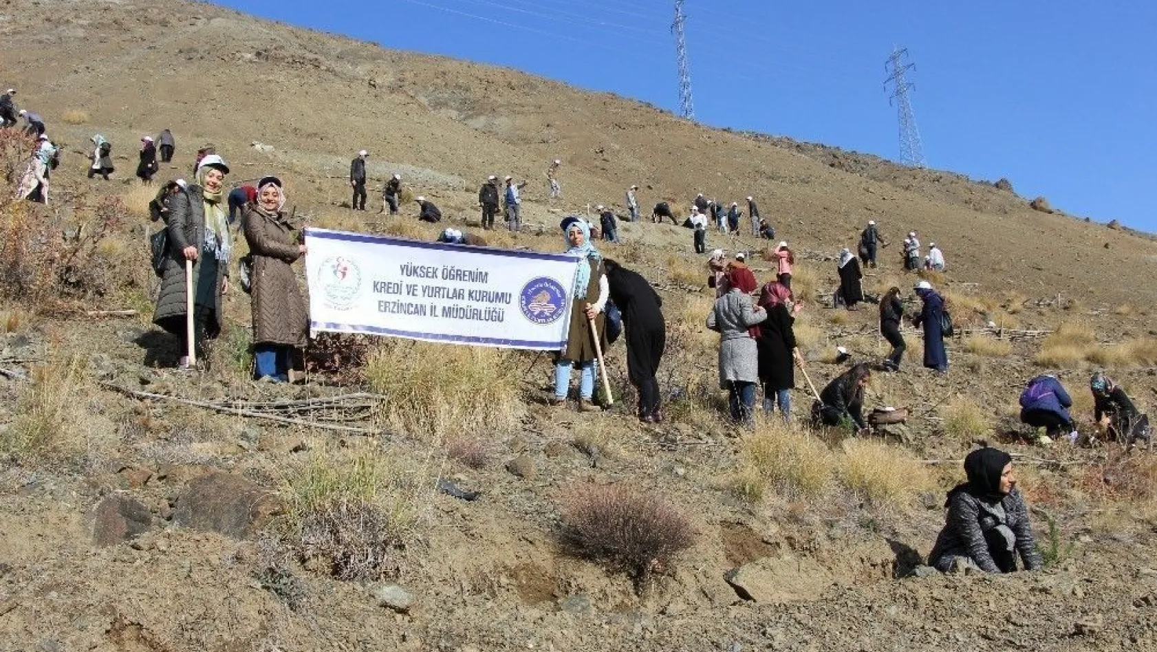 Erzincan'da her KYK'lı bir fidan dikti
