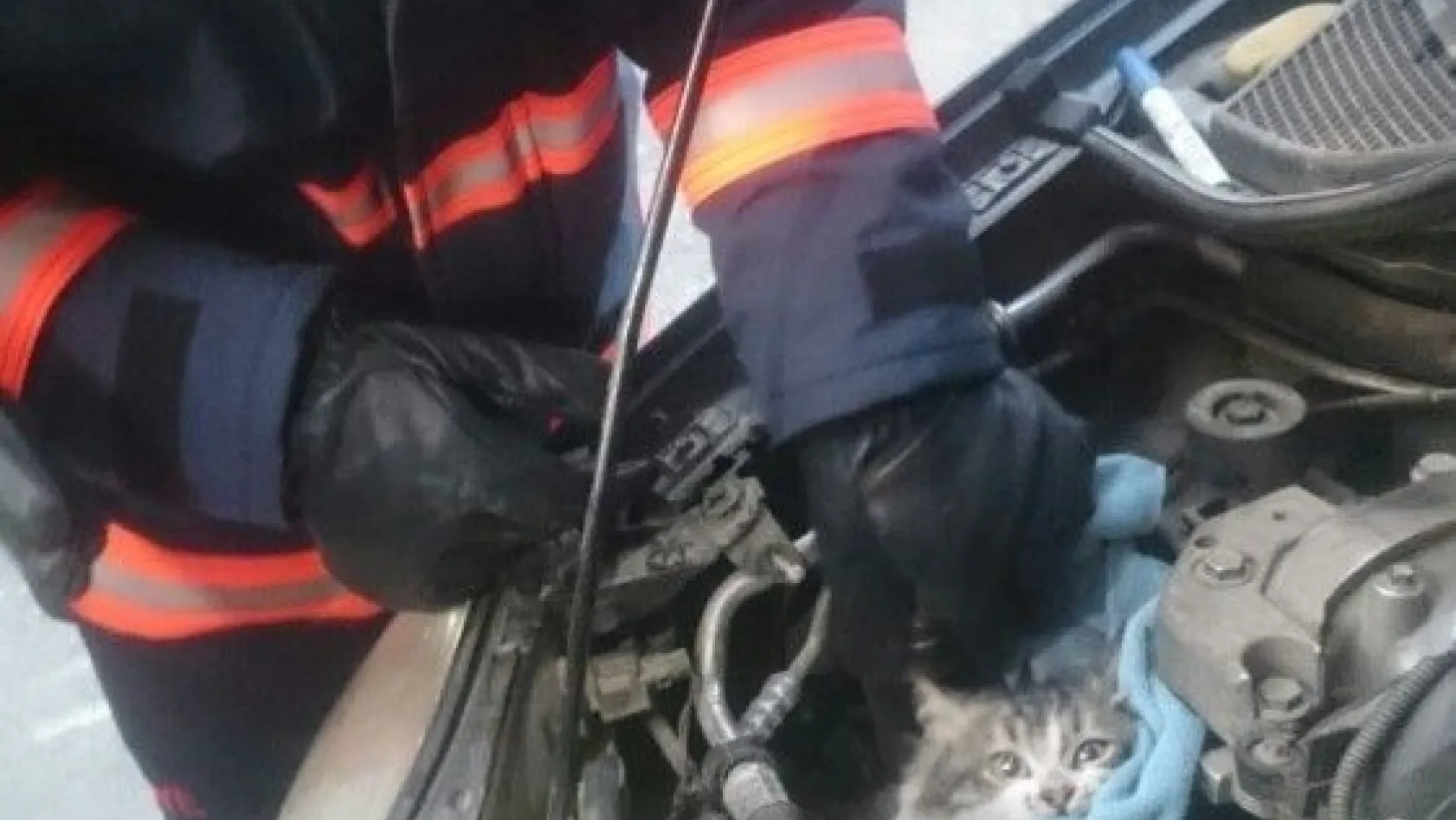 Otomobilin motor kısmına sıkışan kediyi itfaiye kurtardı
