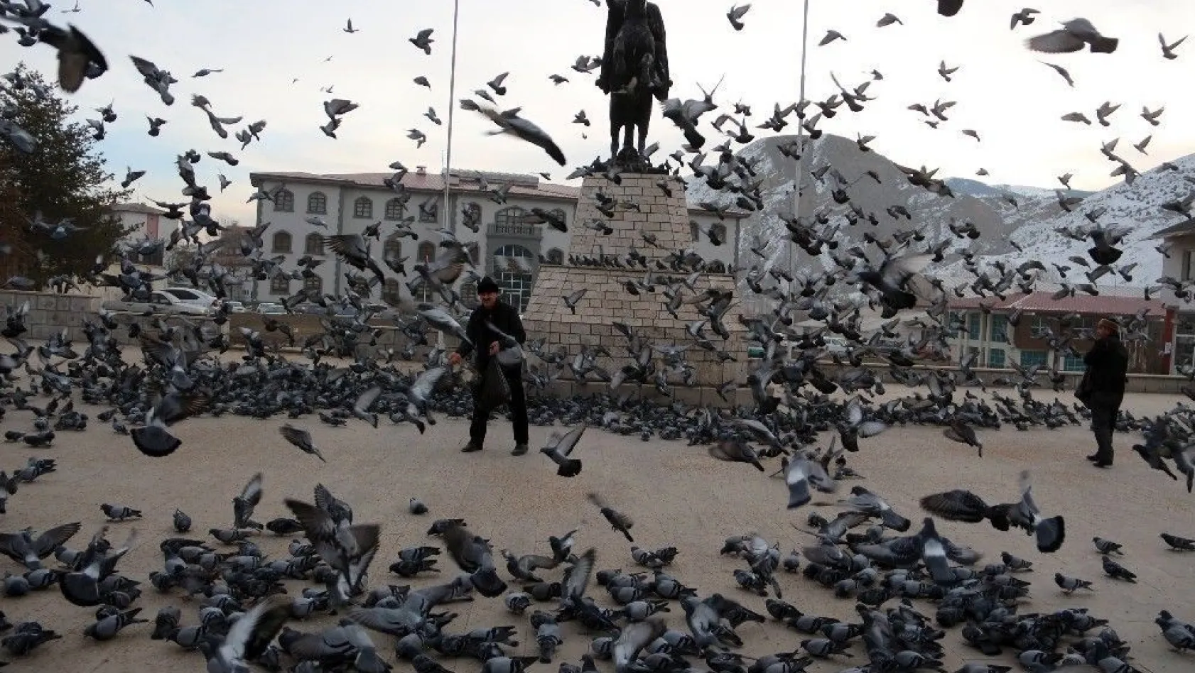 Soğuk havada yemsiz kalan güvercinleri esnaf doyuruyor
