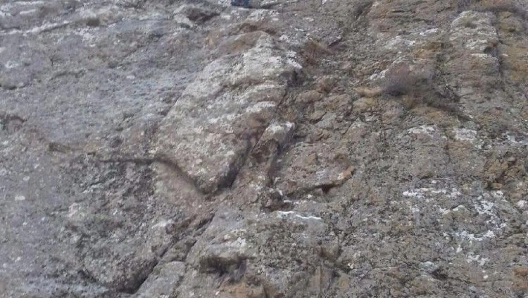Oltu'da 1 kişi tırmandığı kayada mahsur kaldı
