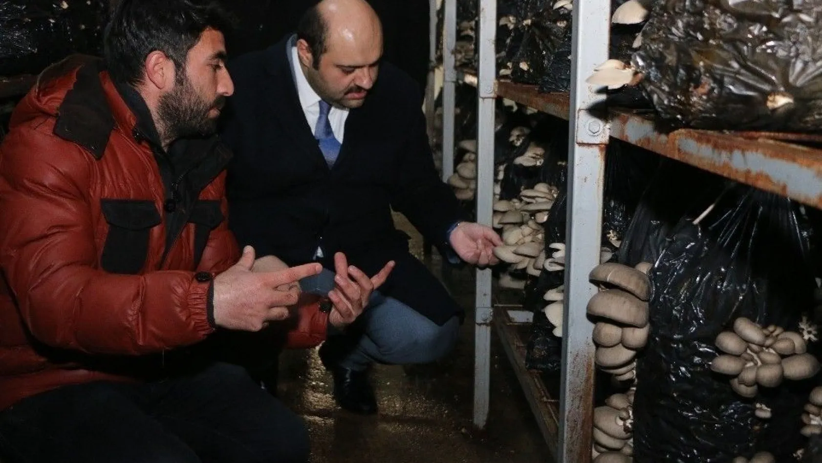 Kültür mantarı üreticilerine Başkan Orhan'dan destek
