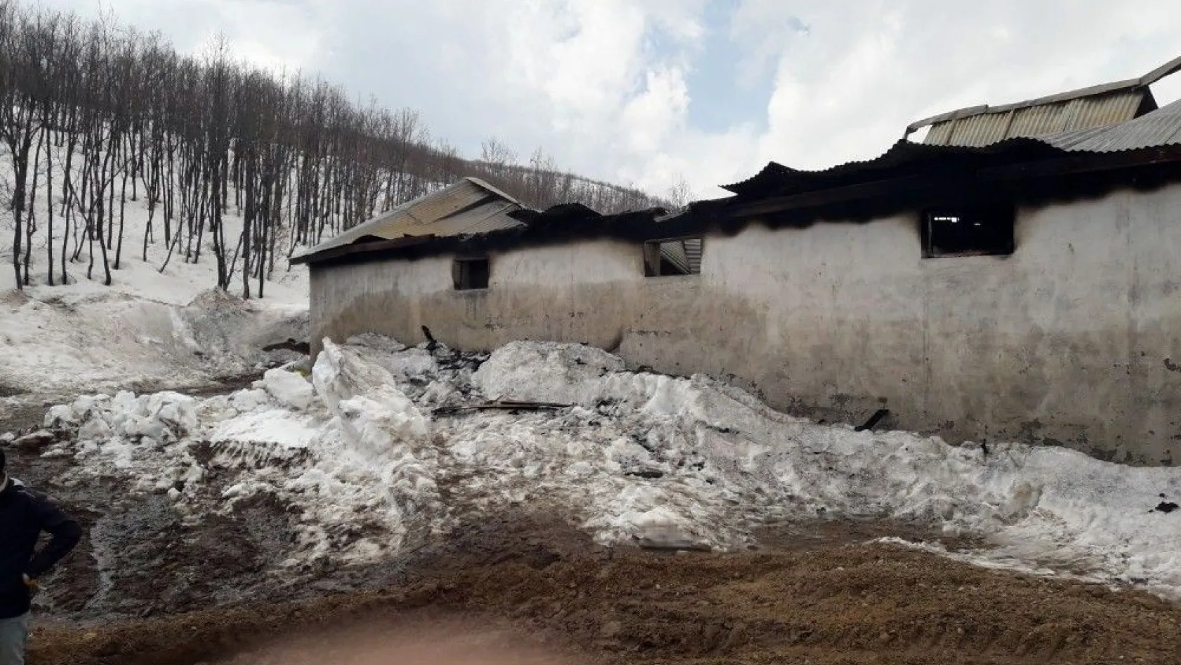Ovacık'ta ahır yangını: 17 hayvan telef oldu
