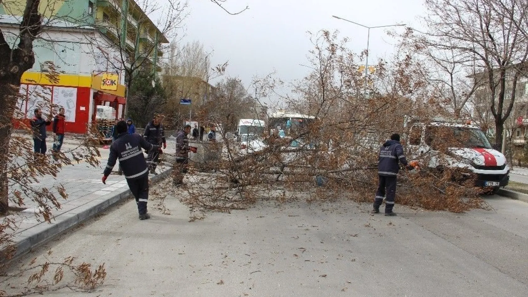 Erzurum'da şiddetli rüzgar hayatı adeta felç etti
