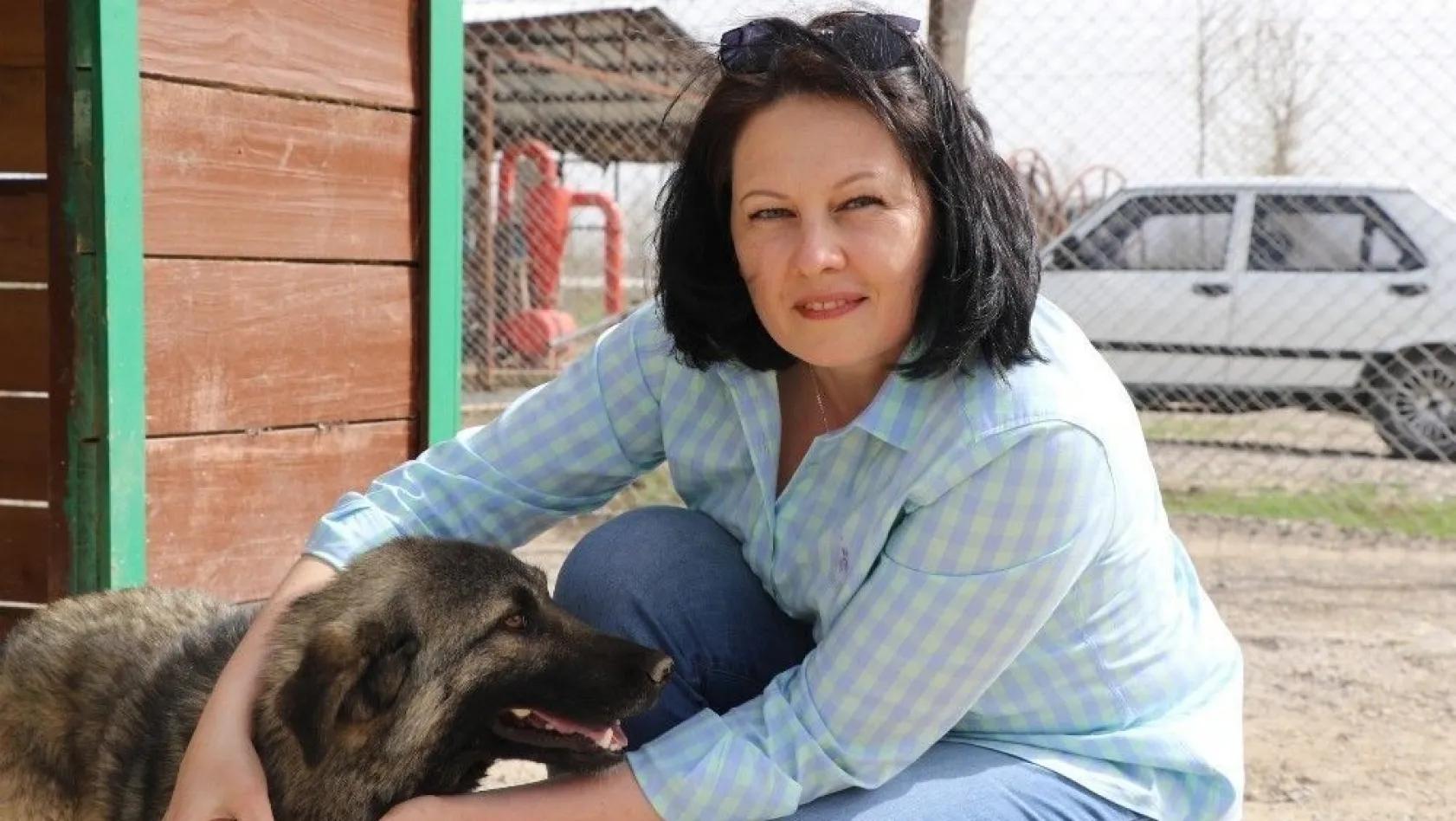 Sokak hayvanlarına Rus gelin şefkati
