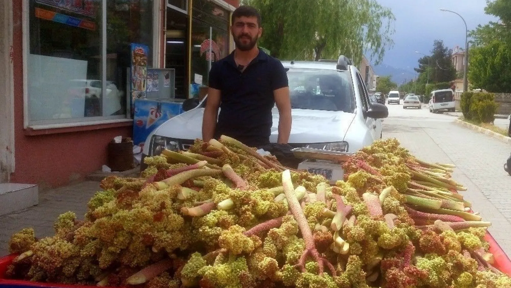Işkın Erzincan'da tezgahlardaki yerini aldı
