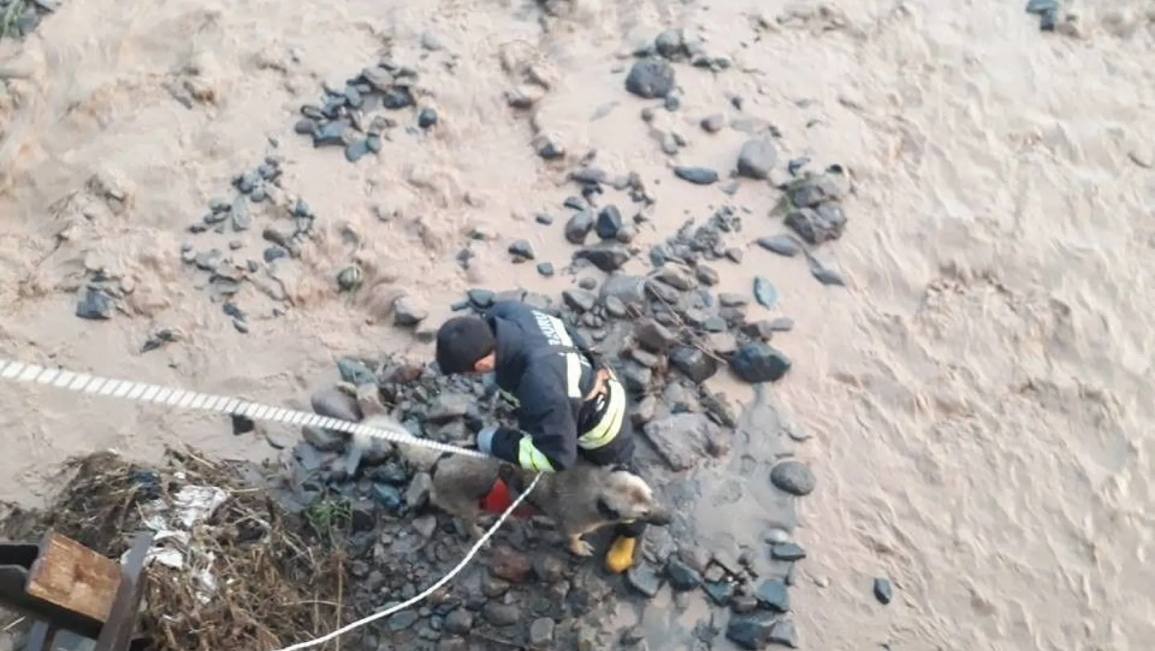 Sel sularının ortasında kalan köpeği kurtarmak için seferber oldular

