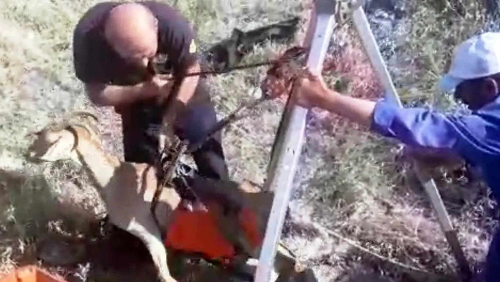 Su kuyusuna düşen keçiyi itfaiye kurtardı
