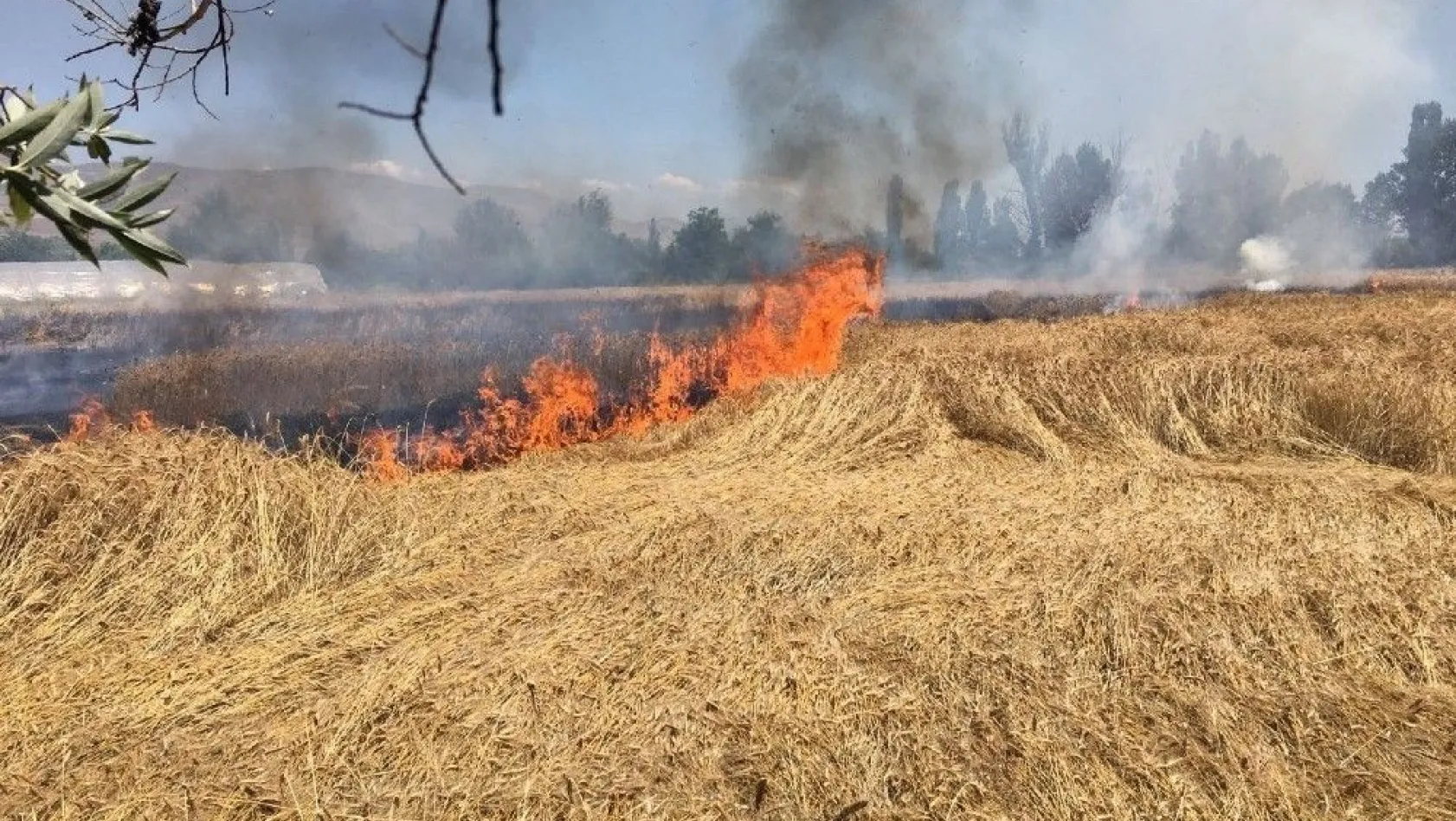 Sivas'ta buğday tarlasında yangın
