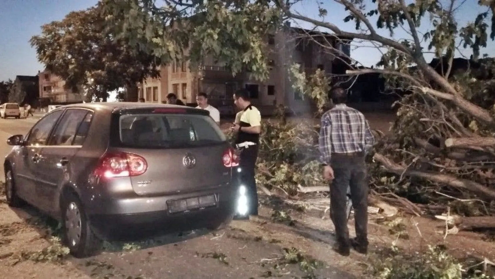 Erzincan'da seyir halindeki aracın üzerine ağaç devrildi
