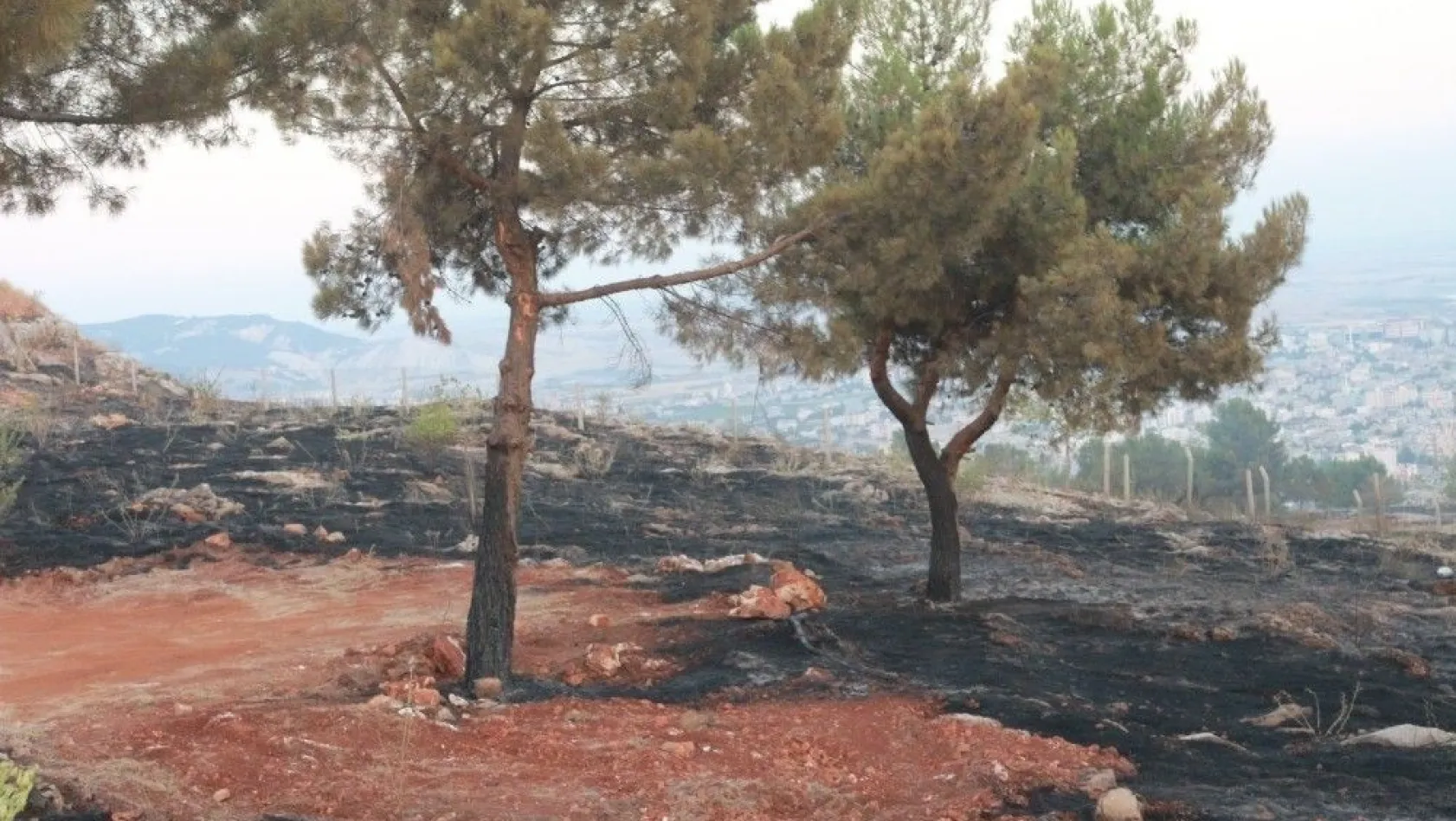Adıyaman'da orman yangını söndürüldü
