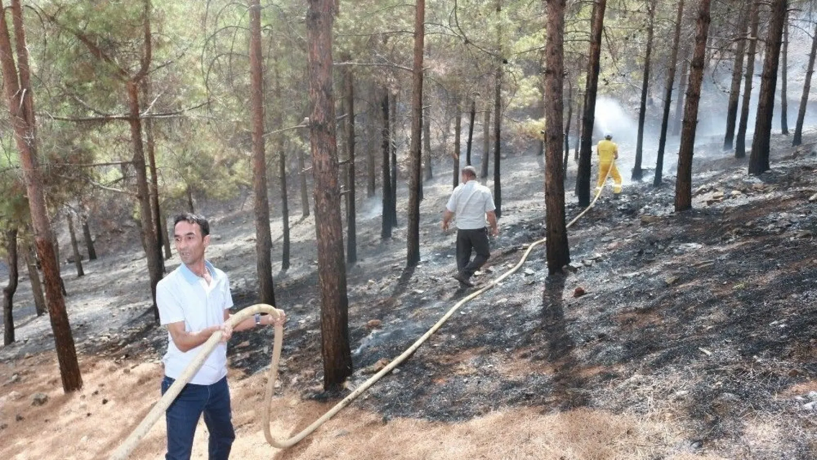 Ormanlık alan iki haftada 10 defa yandı
