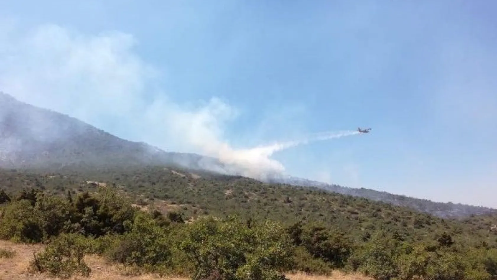 Tunceli'deki orman yangını söndürüldü