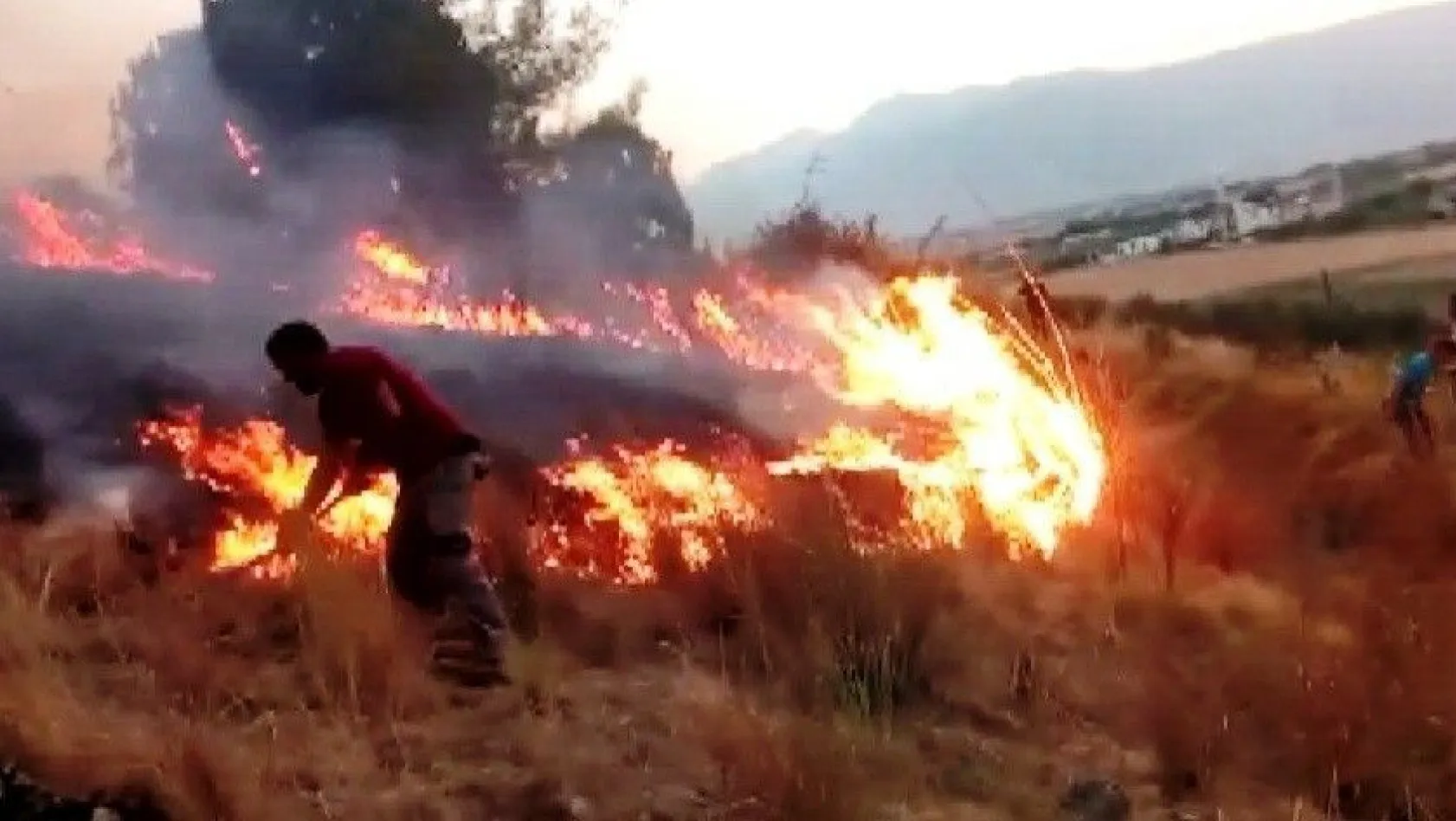 Kahramanmaraş'ta orman yangını
