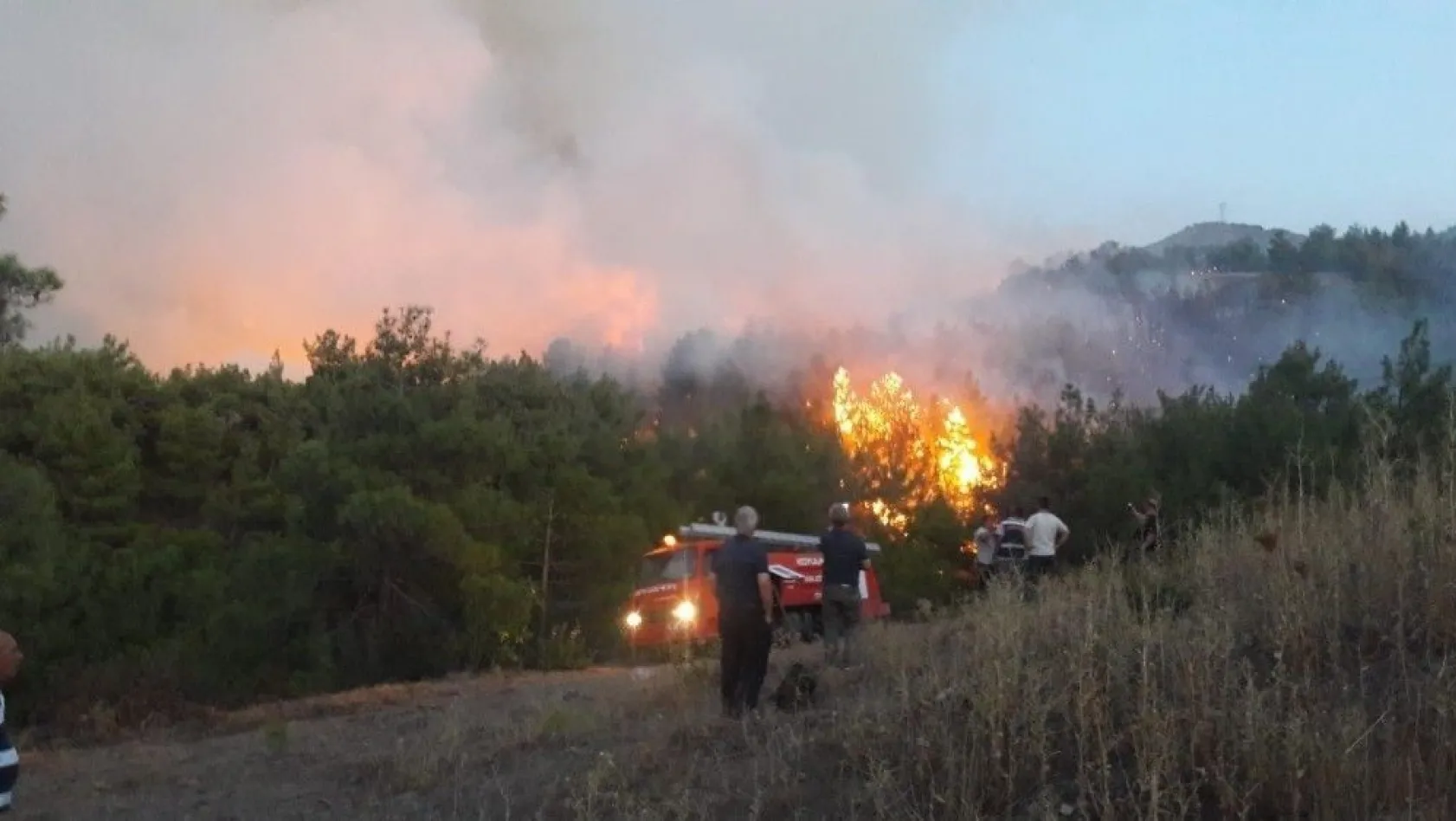 Sivas'ta orman yangını
