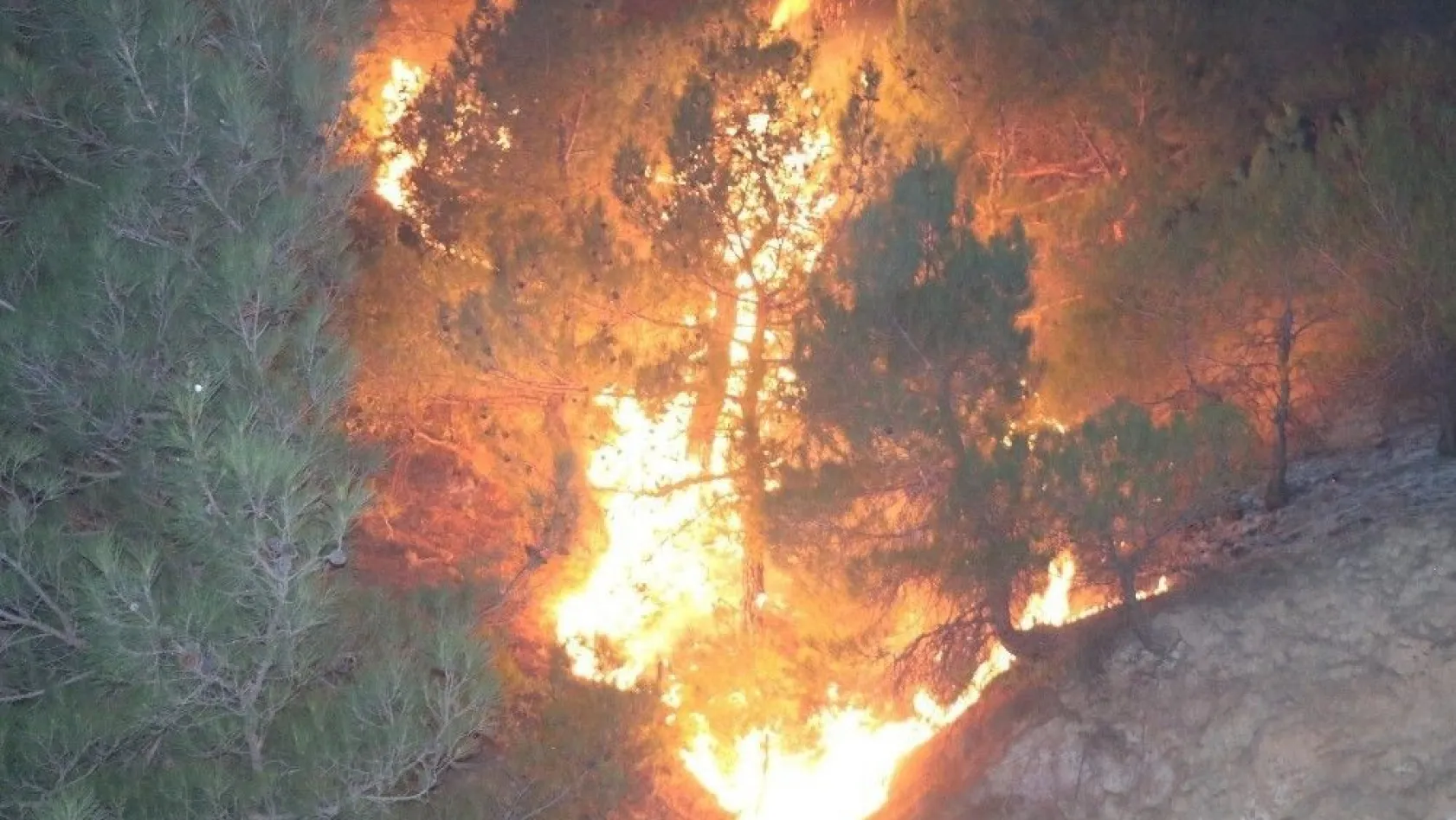 Sivas'taki orman yangını kontrol altına alındı
