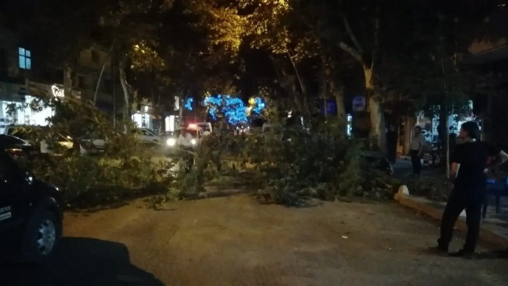 Kırılan ağacın dalları caddeyi trafiğe kapattı
