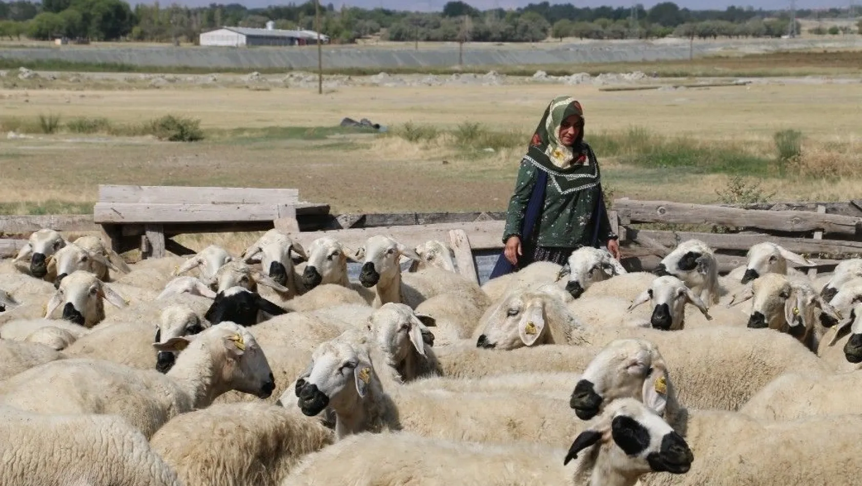 40 koyun çocuklarının geleceği açısından umut oldu
