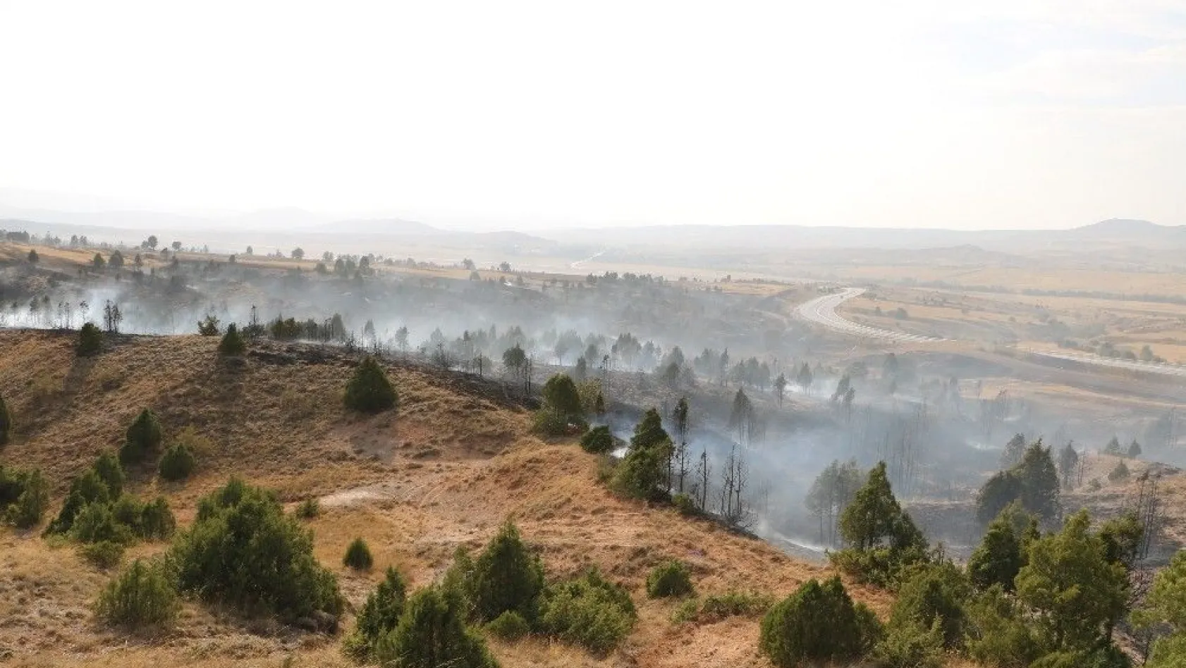 Sivas'ta orman yangını korkuttu
