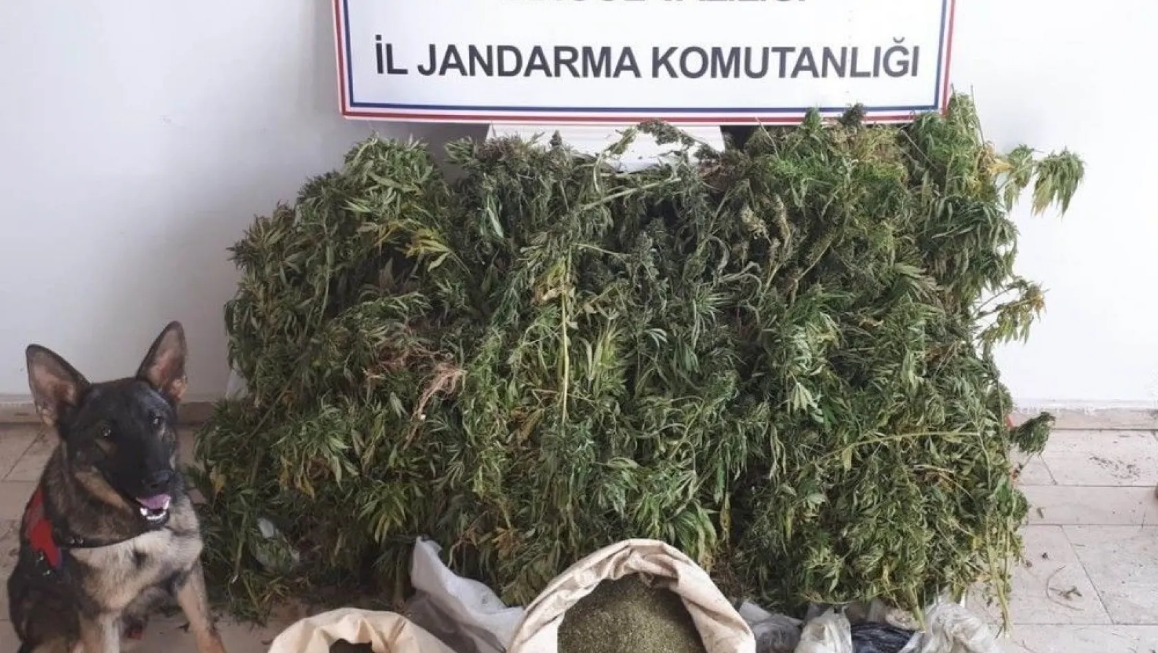 Bingöl'de 158 kilo uyuşturucu ele geçirildi
