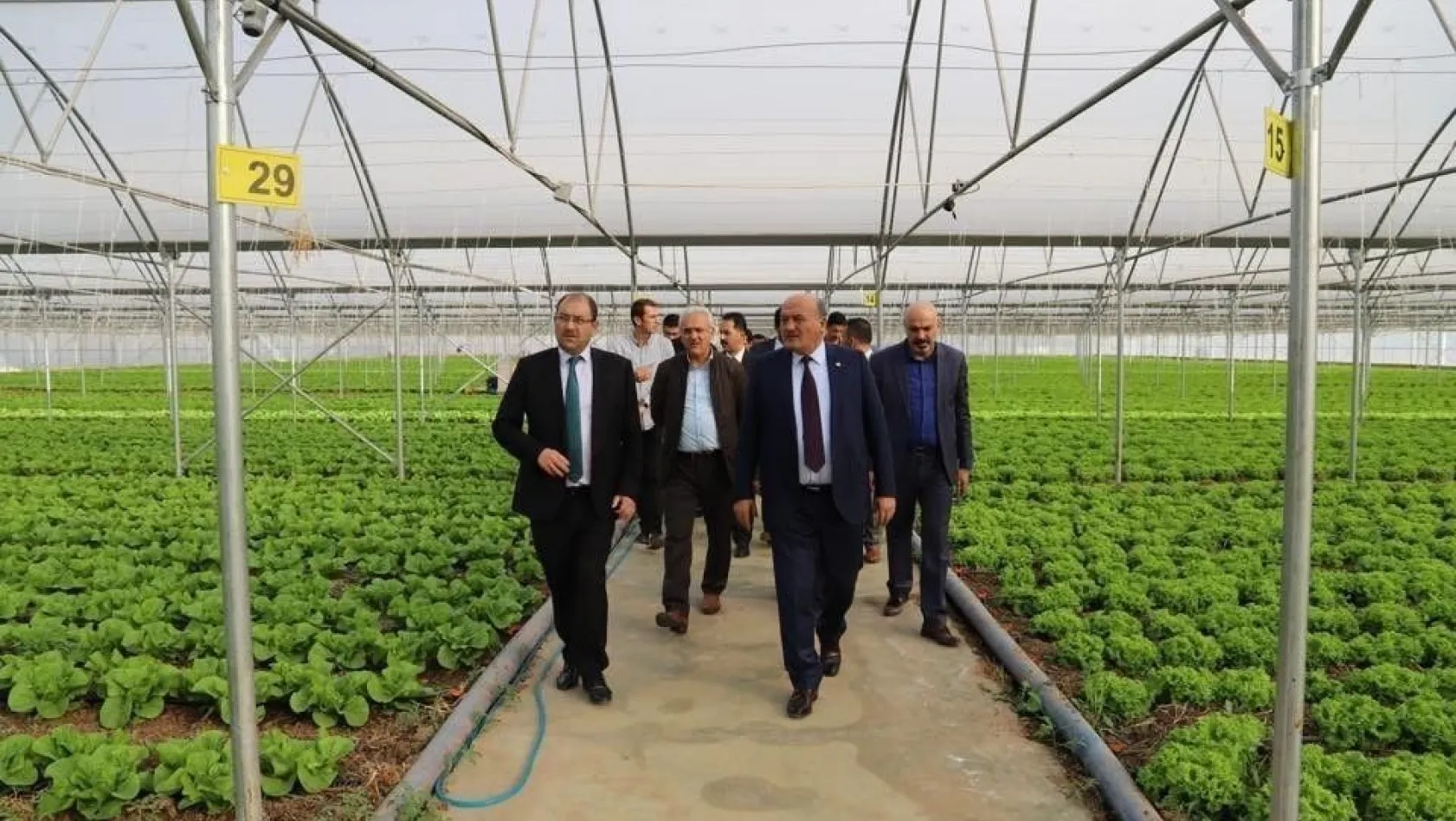 Erzincan Milletvekili Karaman sera işletmesini ziyaret etti

