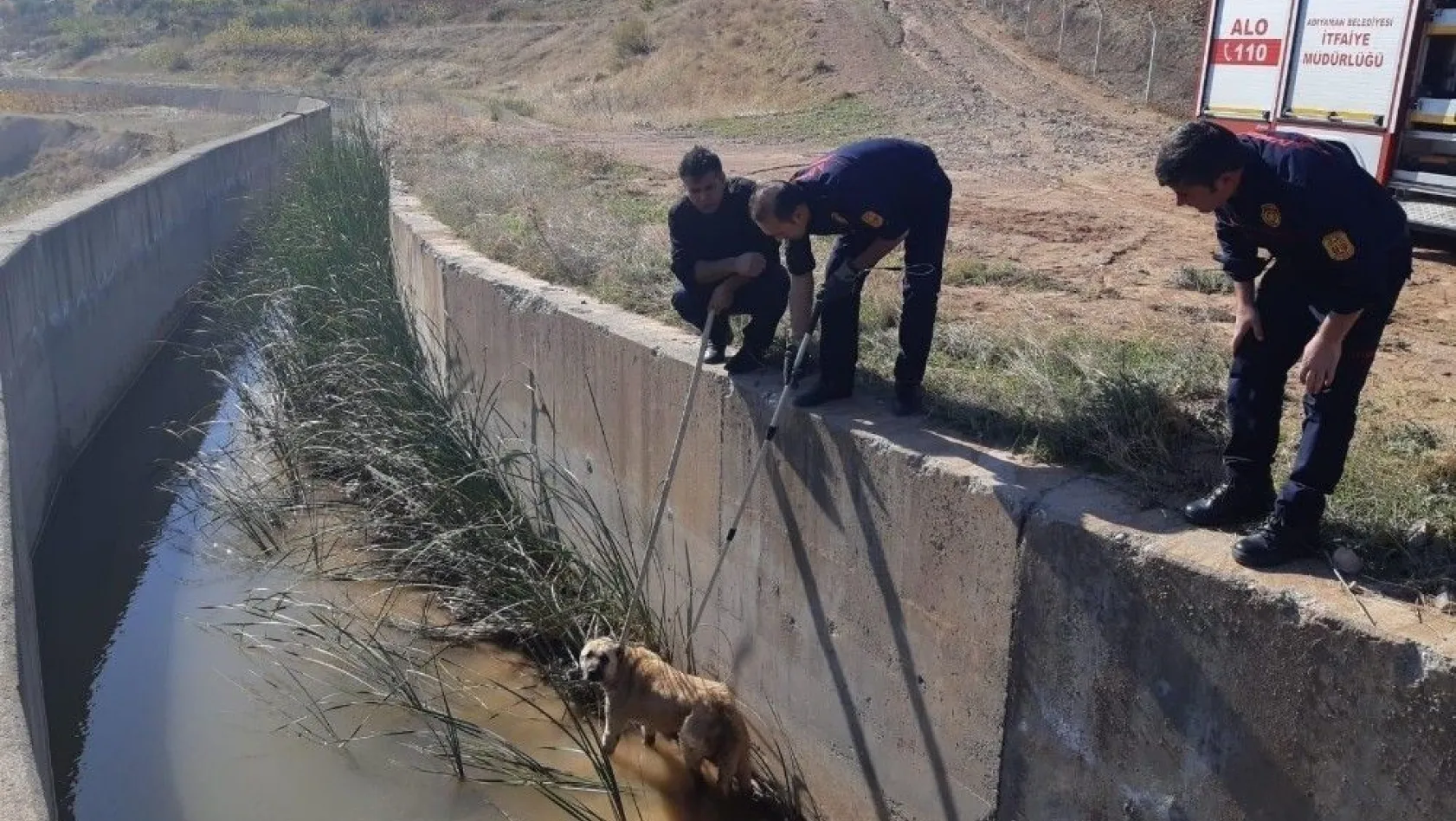 Su kanalına düşen köpek kurtarıldı
