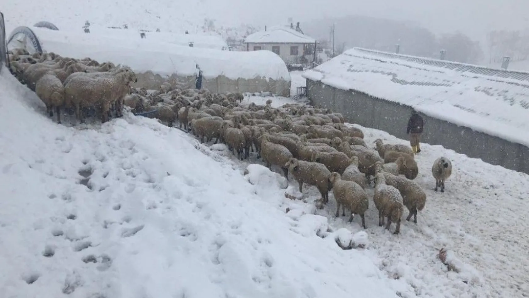 Kahramanmaraş'ta kar yağışı hayatı olumsuz etkiledi
