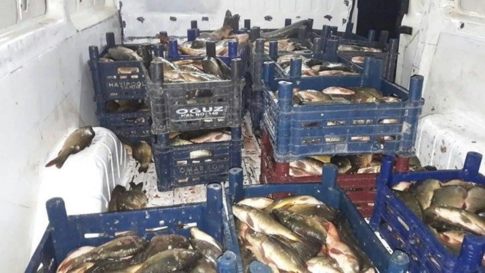 450 kilogramlık kaçak balık ele geçirildi