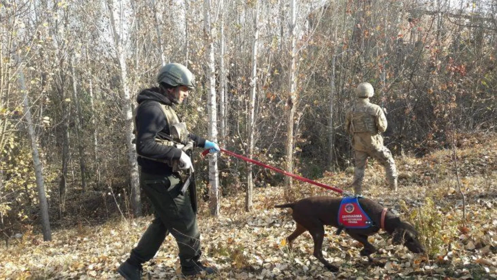 Araziye gizlenen toz esrarı narkotik köpekleri buldu