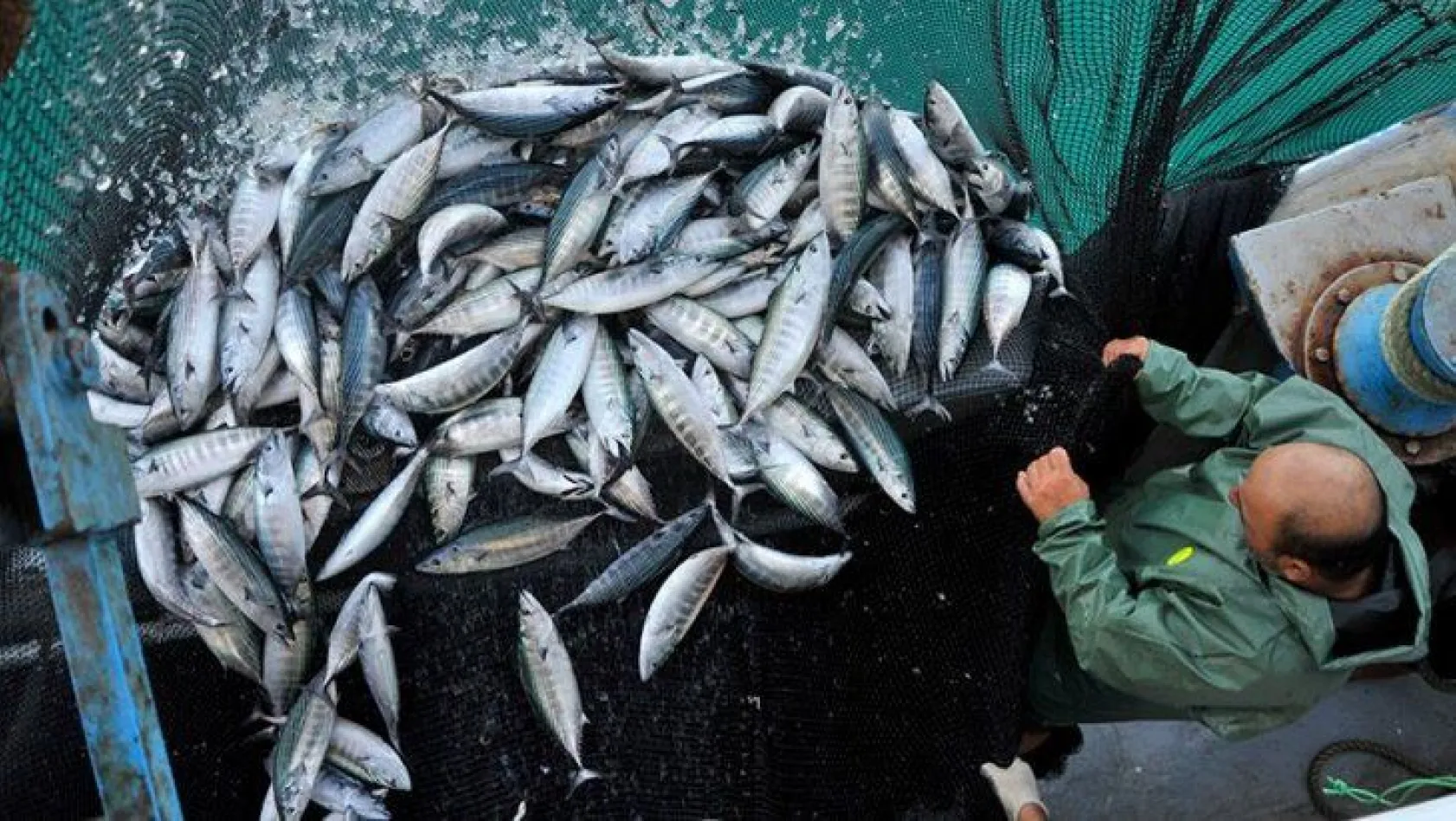 Balıkçılık av sezonu sona eriyor