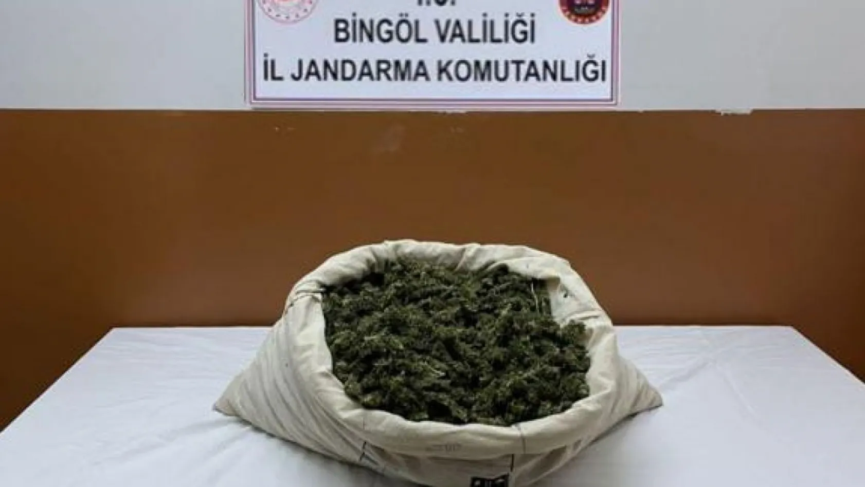 Bingöl'de narkoterör operasyonu