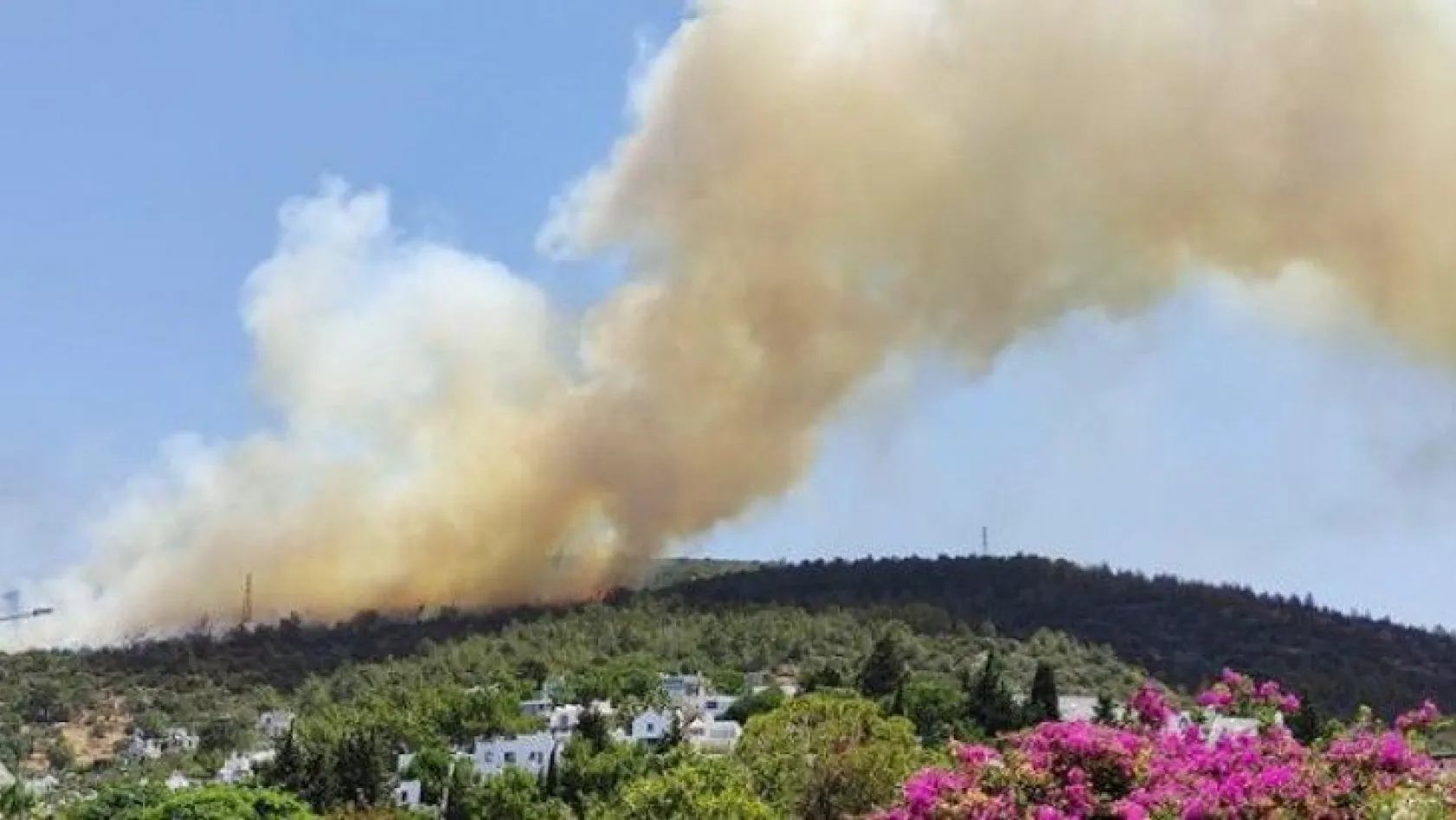Bodrum'da yerleşim alanına 150 metre uzaklıkta yangın çıktı!