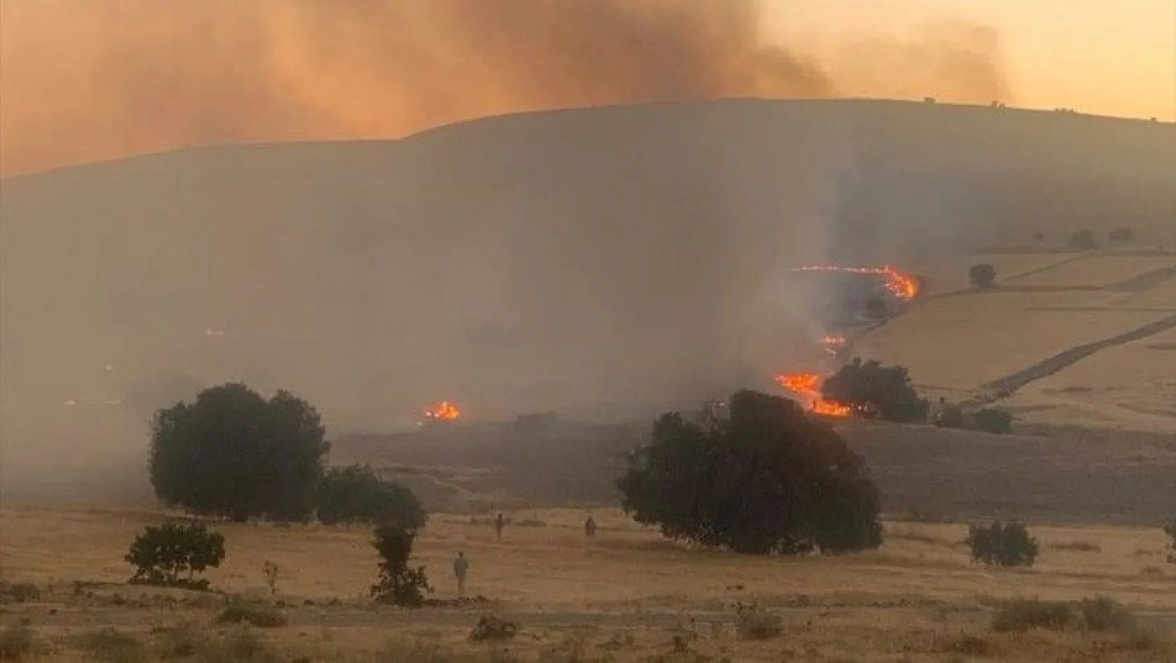 Çıkan yangında 60 dönüm arazi zarar gördü